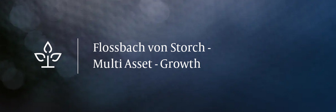 Monatskommentar Multi Asset - Growth