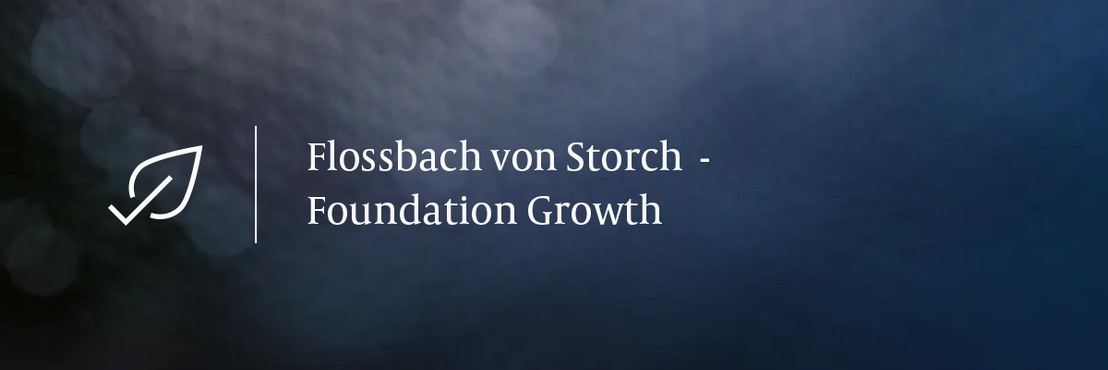 Monatskommentar Foundation Growth 